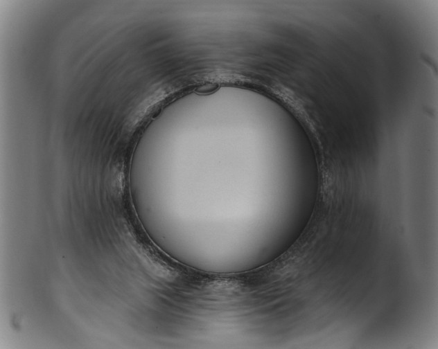 X0000101230063200807111130