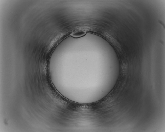 X0000101230064200807111130