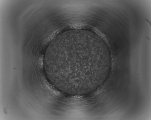 X0000101230065200807111130