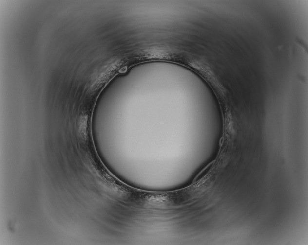 X0000101230066200807111130