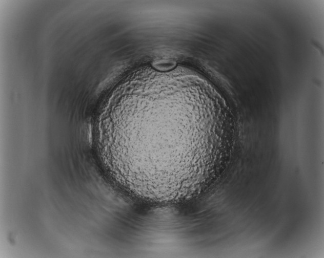 X0000101230067200807111130