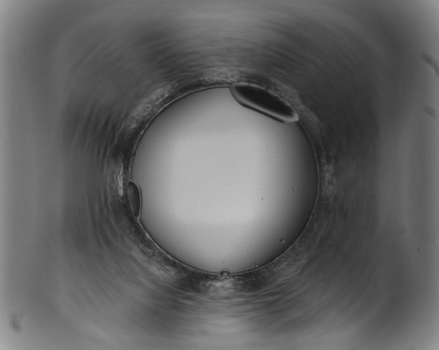 X0000101230068200807111130