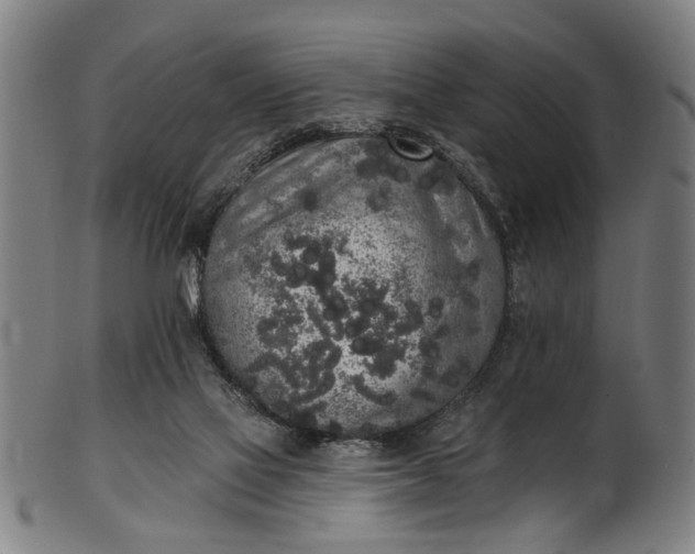 X0000101230069200807111130