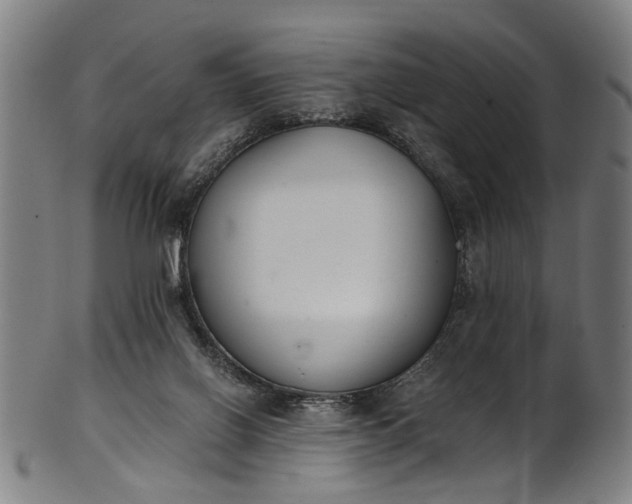 X0000101230070200807111130