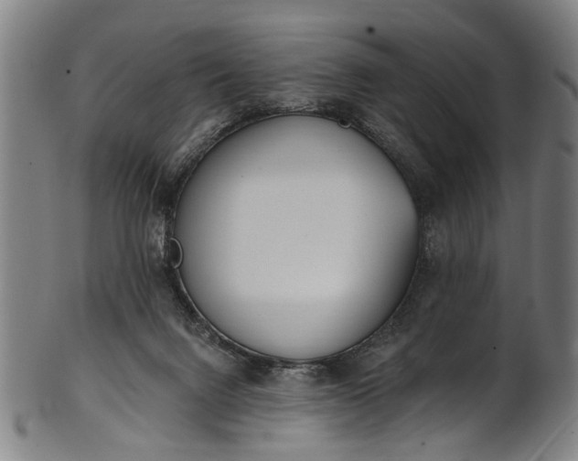 X0000101230072200807111130