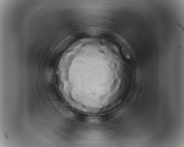 X0000101230073200807111130