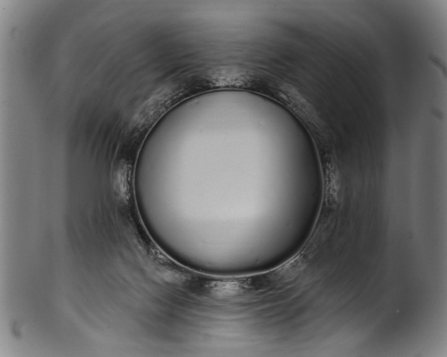 X0000101230074200807111130