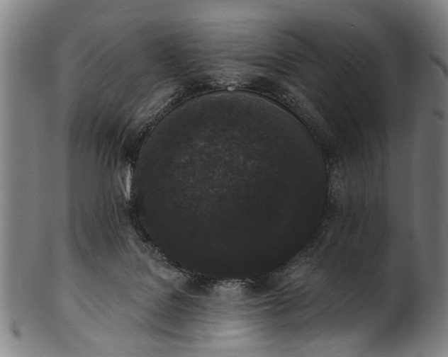 X0000101230076200807111130