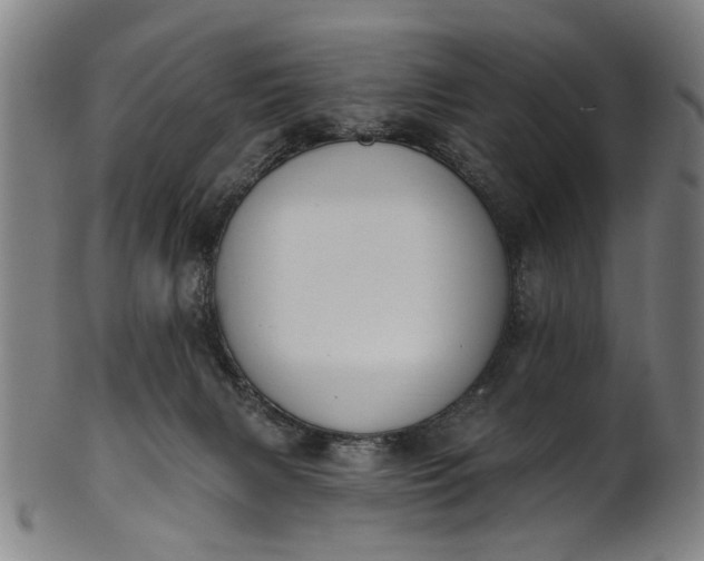 X0000101230079200807111130