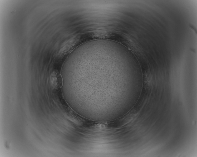 X0000101230080200807111130