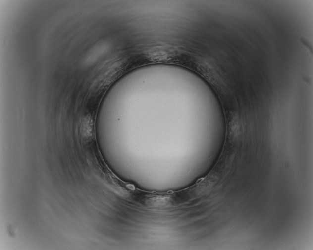 X0000101230081200807111130