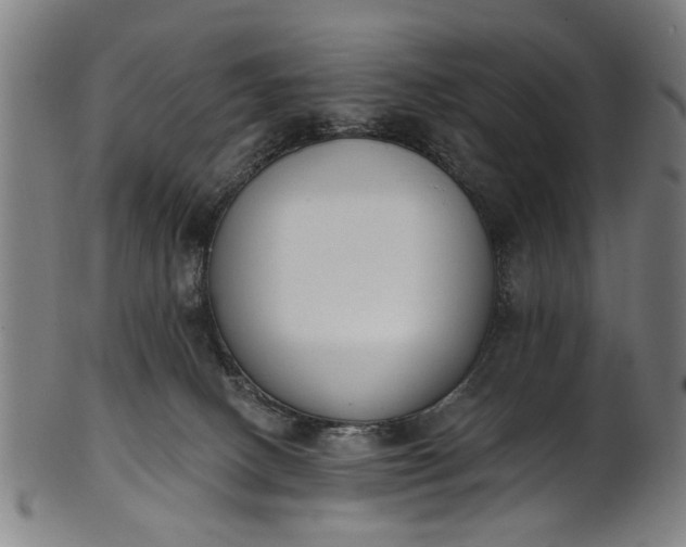 X0000101230082200807111130