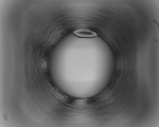 X0000101230084200807111130