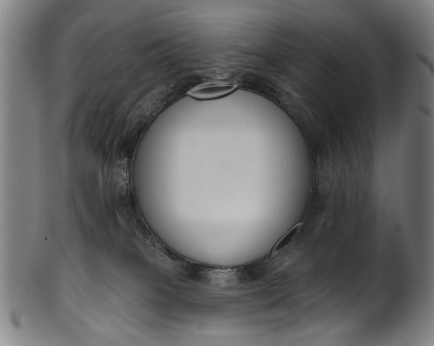 X0000101230085200807111130