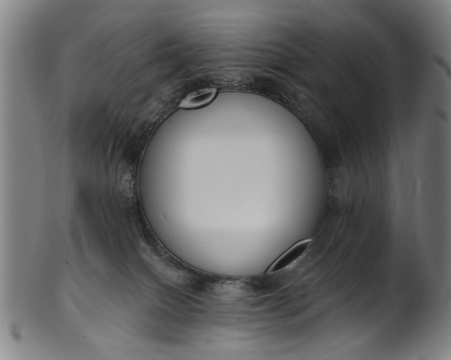 X0000101230086200807111130