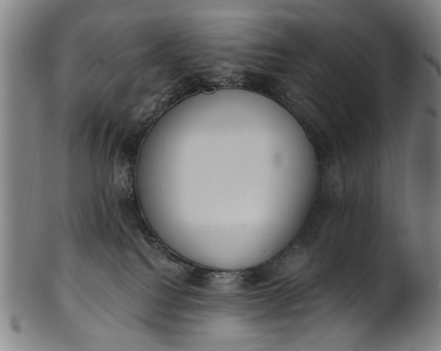 X0000101230088200807111130