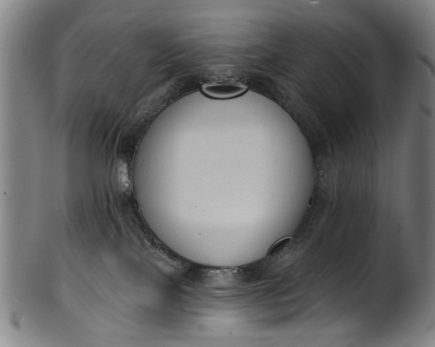 X0000101230089200807111130