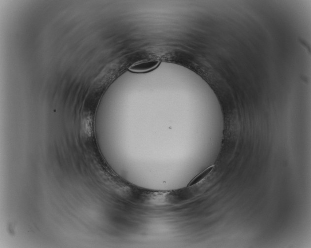 X0000101230090200807111130