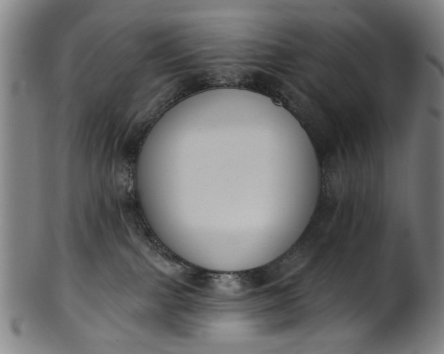 X0000101230091200807111130