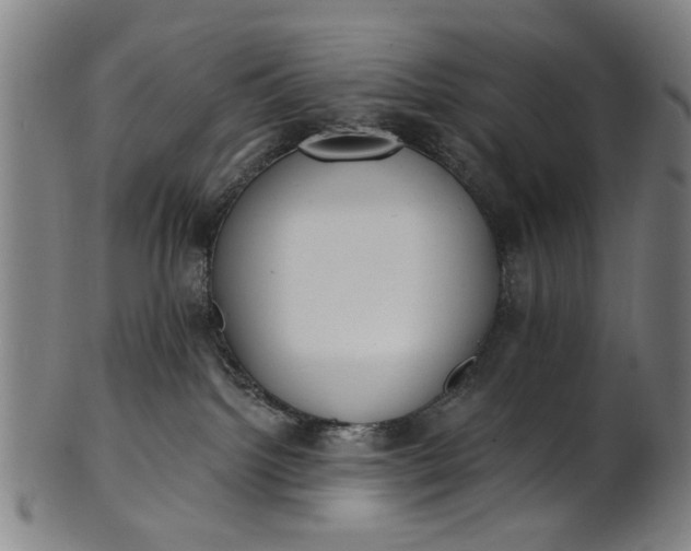 X0000101230092200807111130