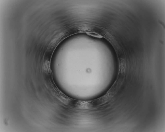 X0000101230093200807111130