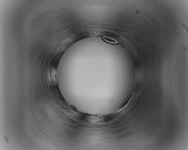 X0000101230094200807111130