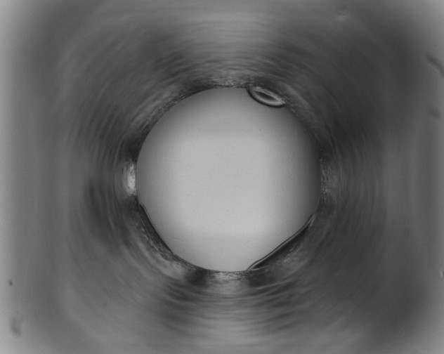 X0000101230095200807111130