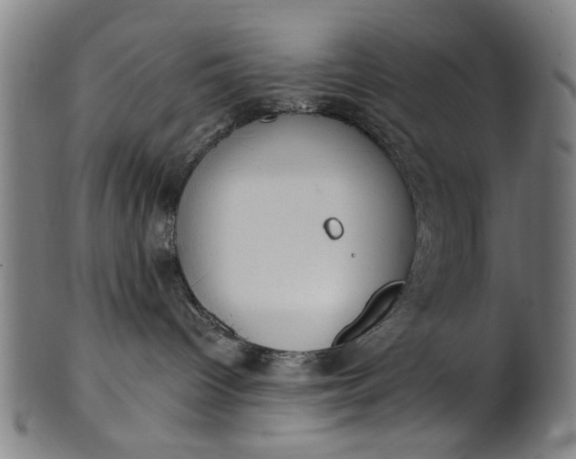 X0000101230096200807111130