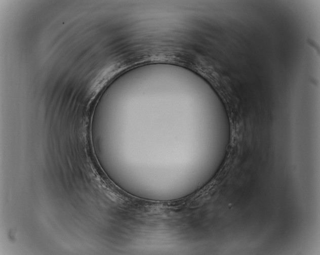 X0000101230098200807111130