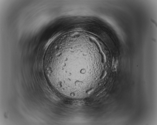 X0000101230099200807111130