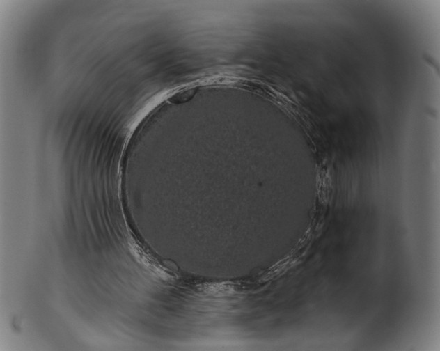 X0000101230100200807111130