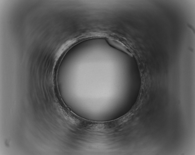 X0000101230104200807111130