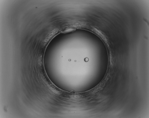 X0000101230105200807111130