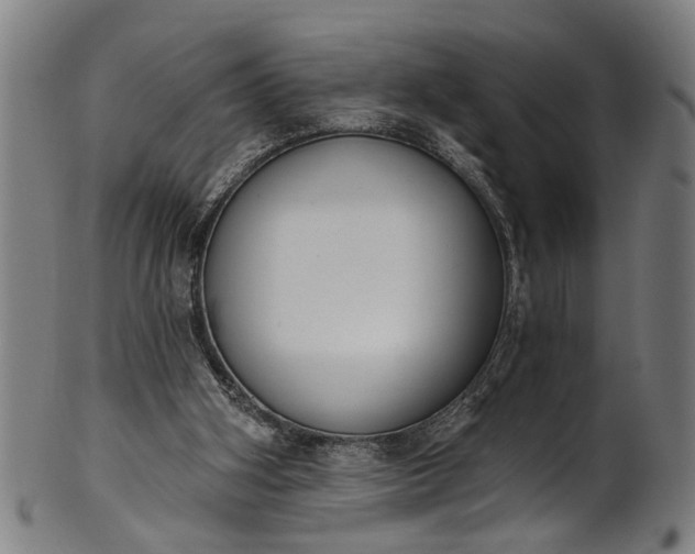 X0000101230106200807111130