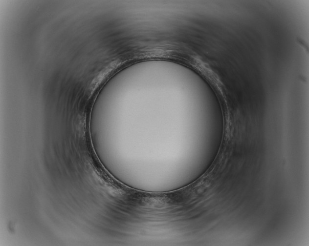 X0000101230107200807111129