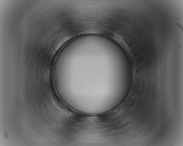 X0000101230108200807111129