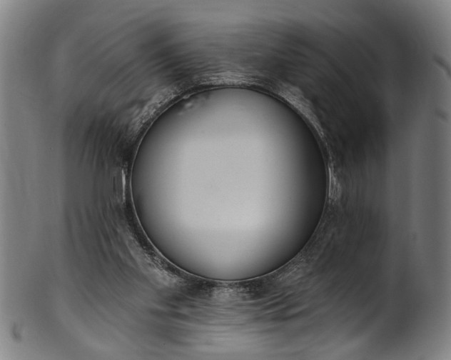 X0000101230109200807111129