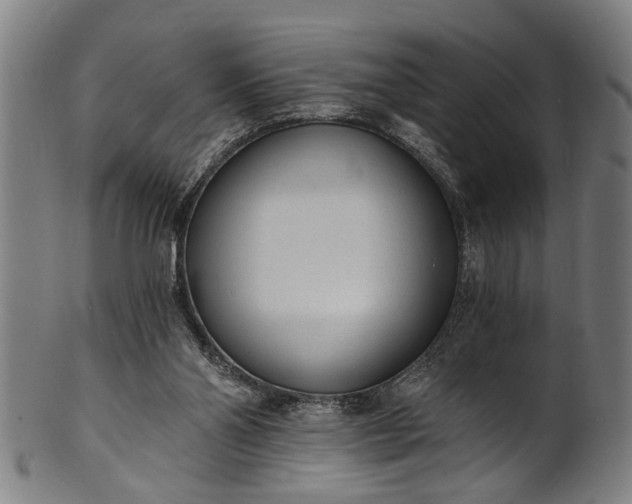 X0000101230110200807111129