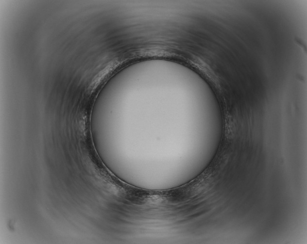 X0000101230111200807111129