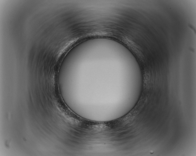 X0000101230112200807111129