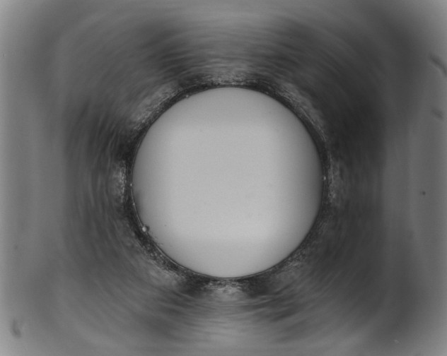 X0000101230113200807111129