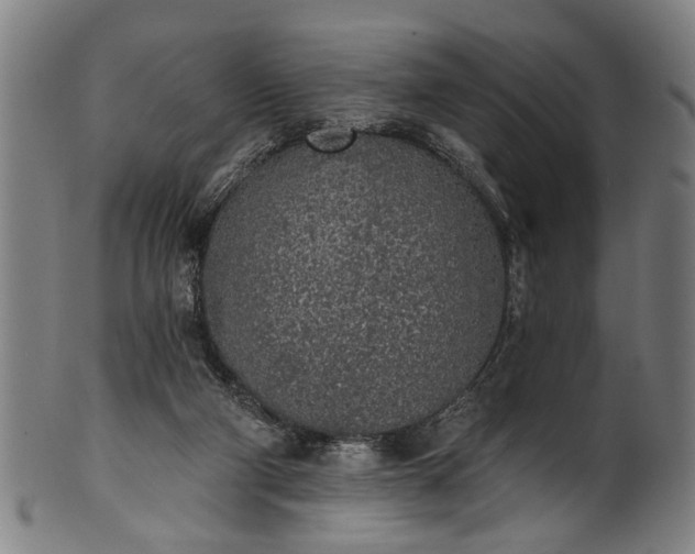 X0000101230114200807111129