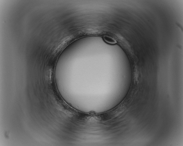 X0000101230115200807111129