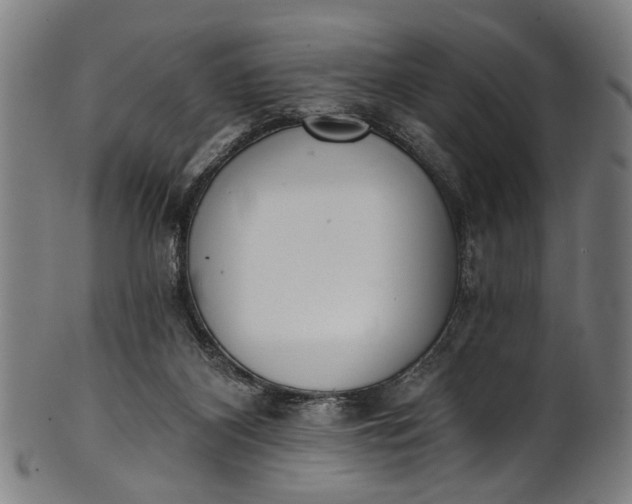 X0000101230116200807111129