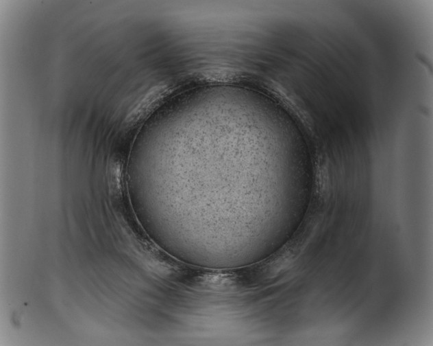 X0000101230117200807111129