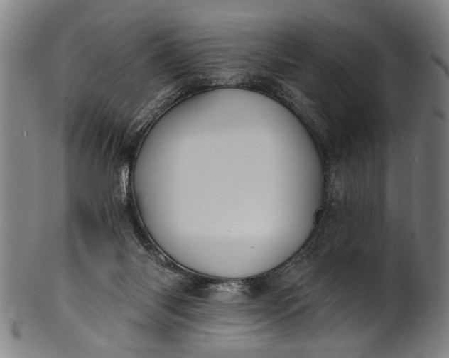 X0000101230118200807111129