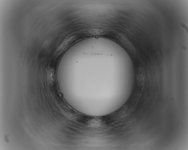 X0000101230119200807111129