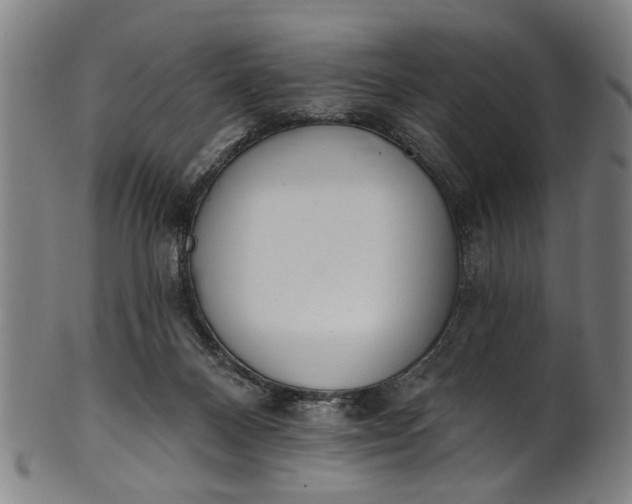 X0000101230120200807111129