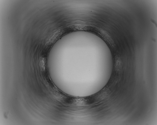 X0000101230121200807111129