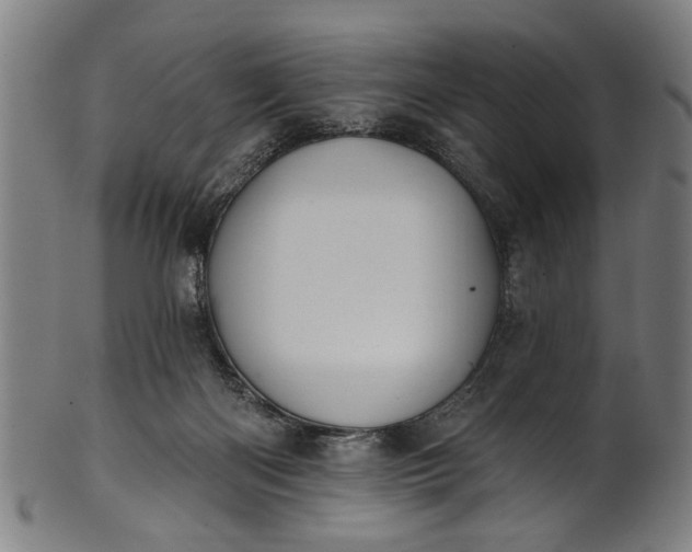 X0000101230122200807111129